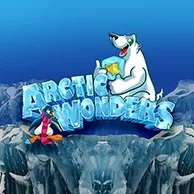 Arctic Wonders